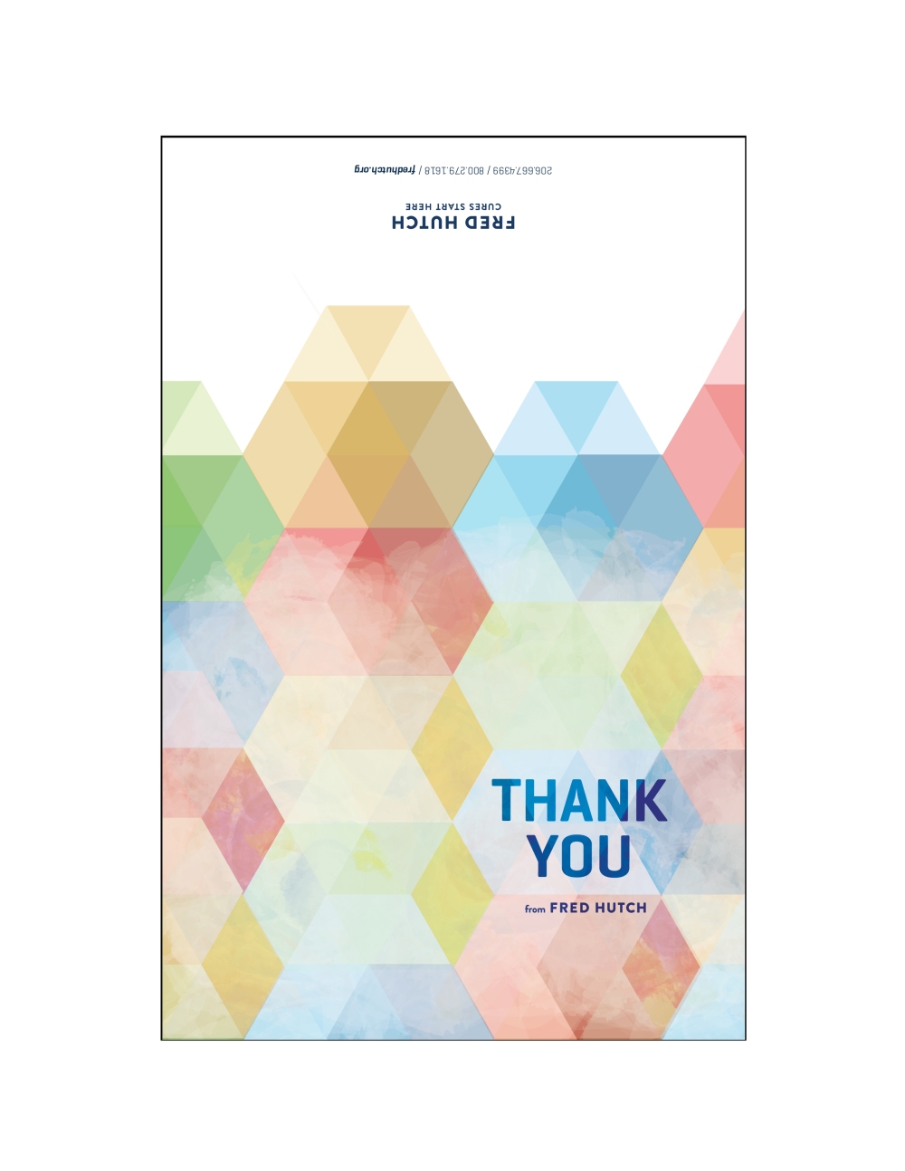 thank-you_color-shapes1-01.jpg?w=1000